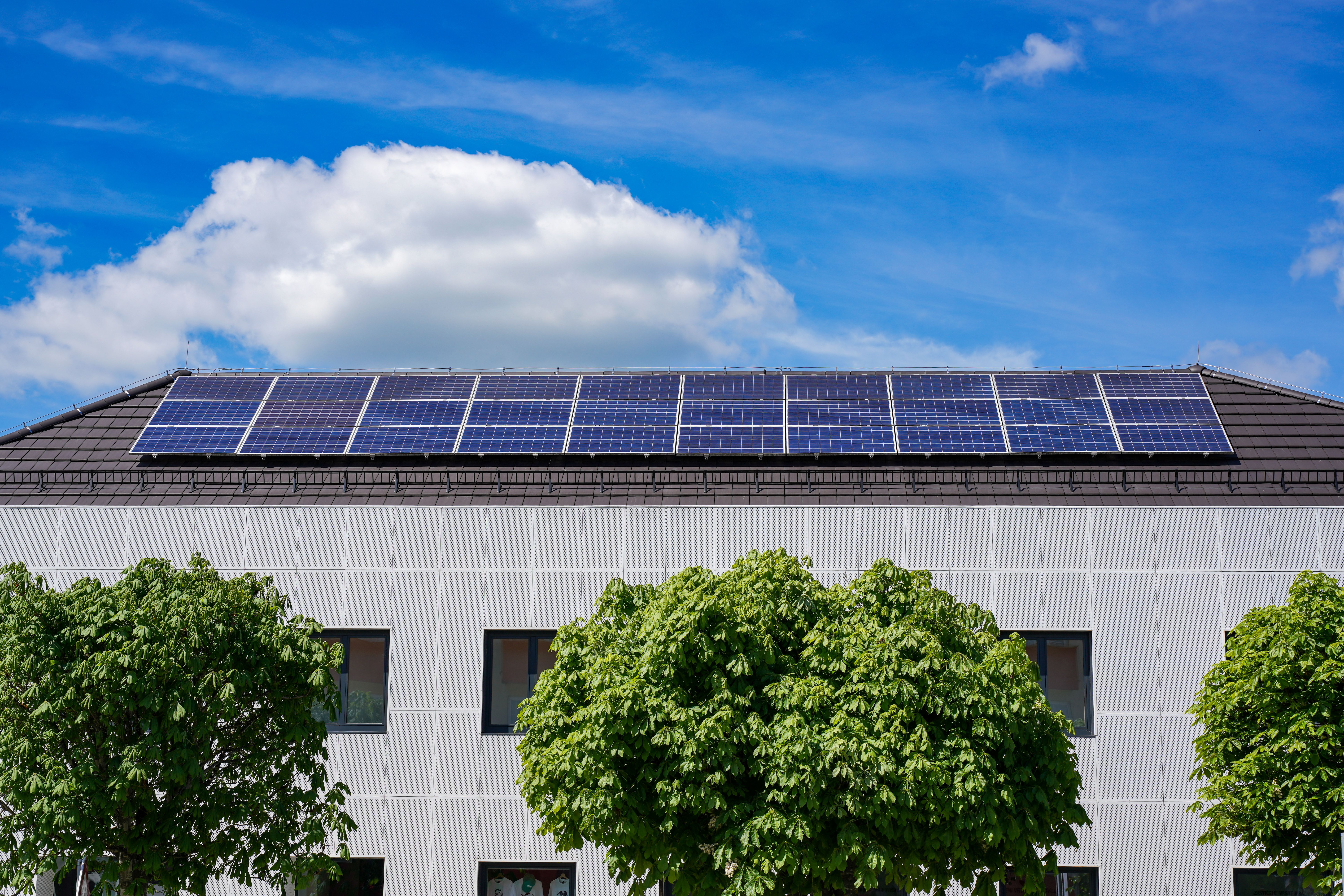 Eco Building